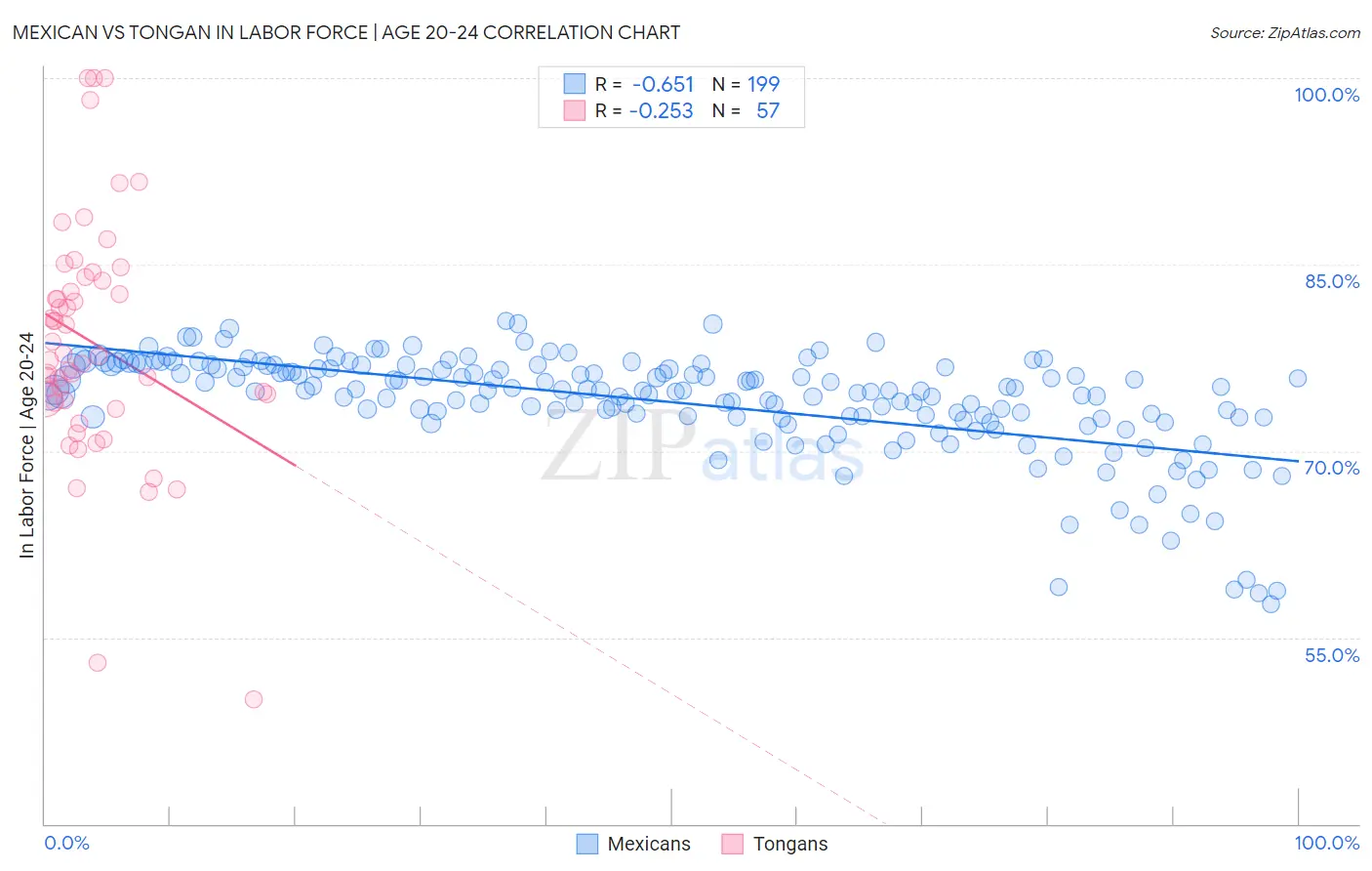 Mexican vs Tongan In Labor Force | Age 20-24