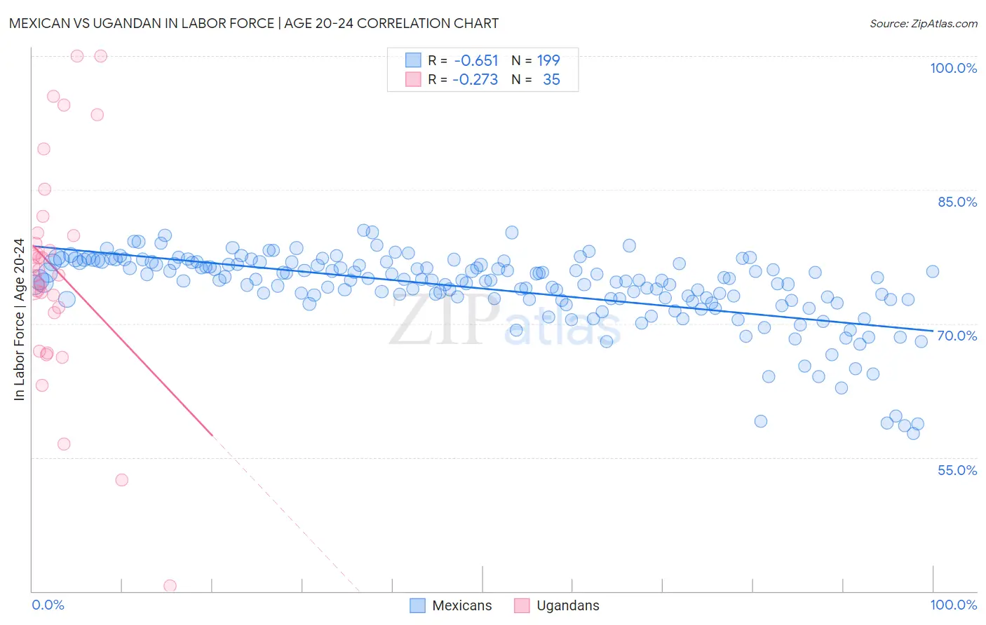 Mexican vs Ugandan In Labor Force | Age 20-24
