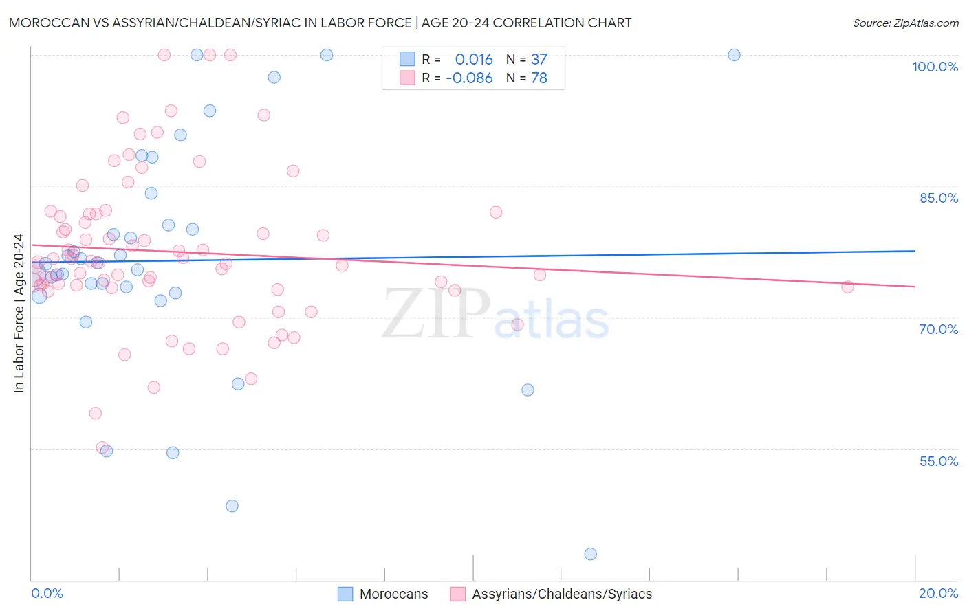 Moroccan vs Assyrian/Chaldean/Syriac In Labor Force | Age 20-24