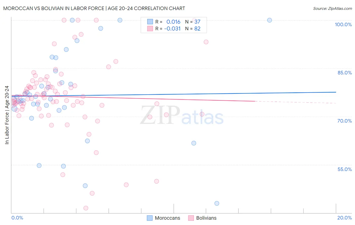 Moroccan vs Bolivian In Labor Force | Age 20-24