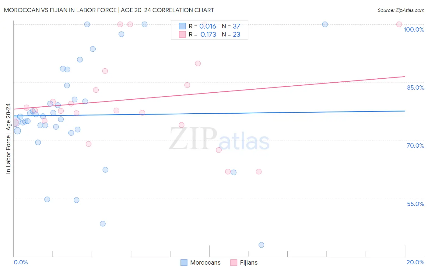 Moroccan vs Fijian In Labor Force | Age 20-24