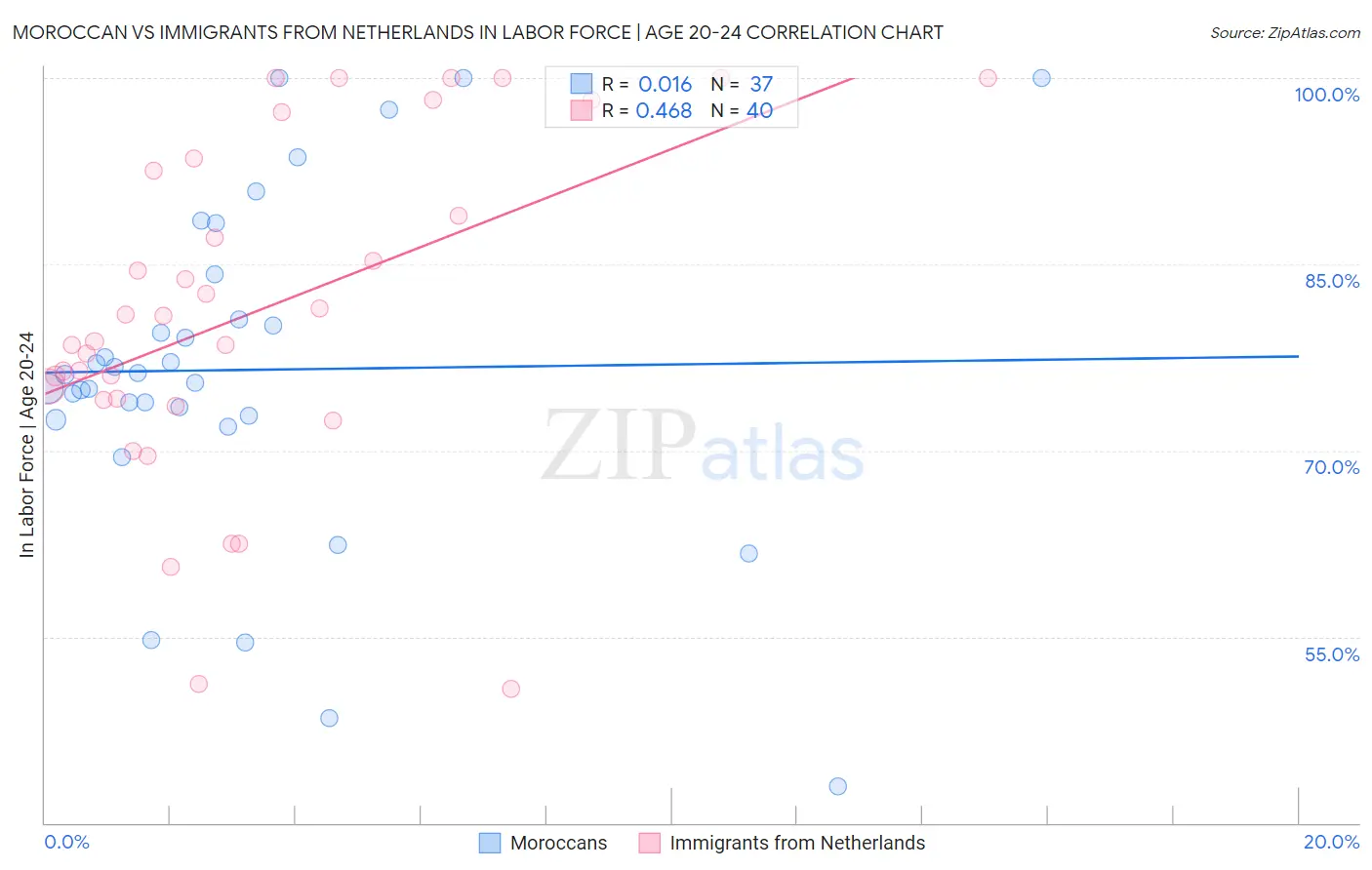 Moroccan vs Immigrants from Netherlands In Labor Force | Age 20-24