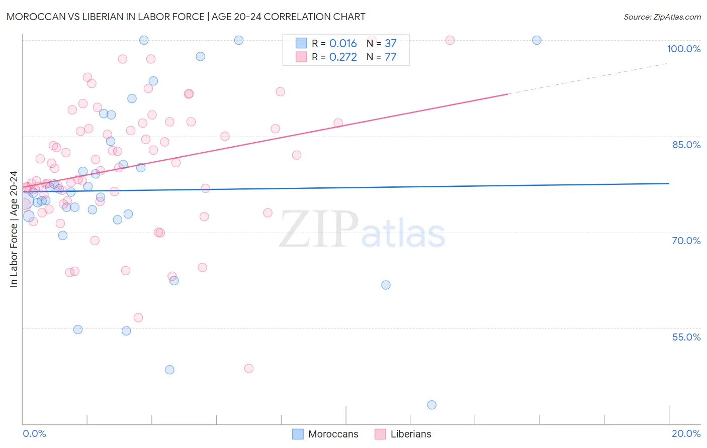 Moroccan vs Liberian In Labor Force | Age 20-24