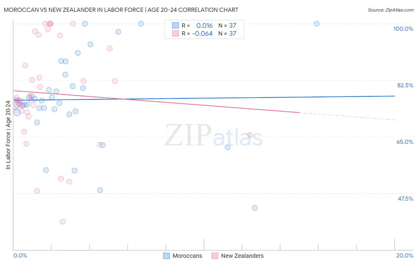 Moroccan vs New Zealander In Labor Force | Age 20-24