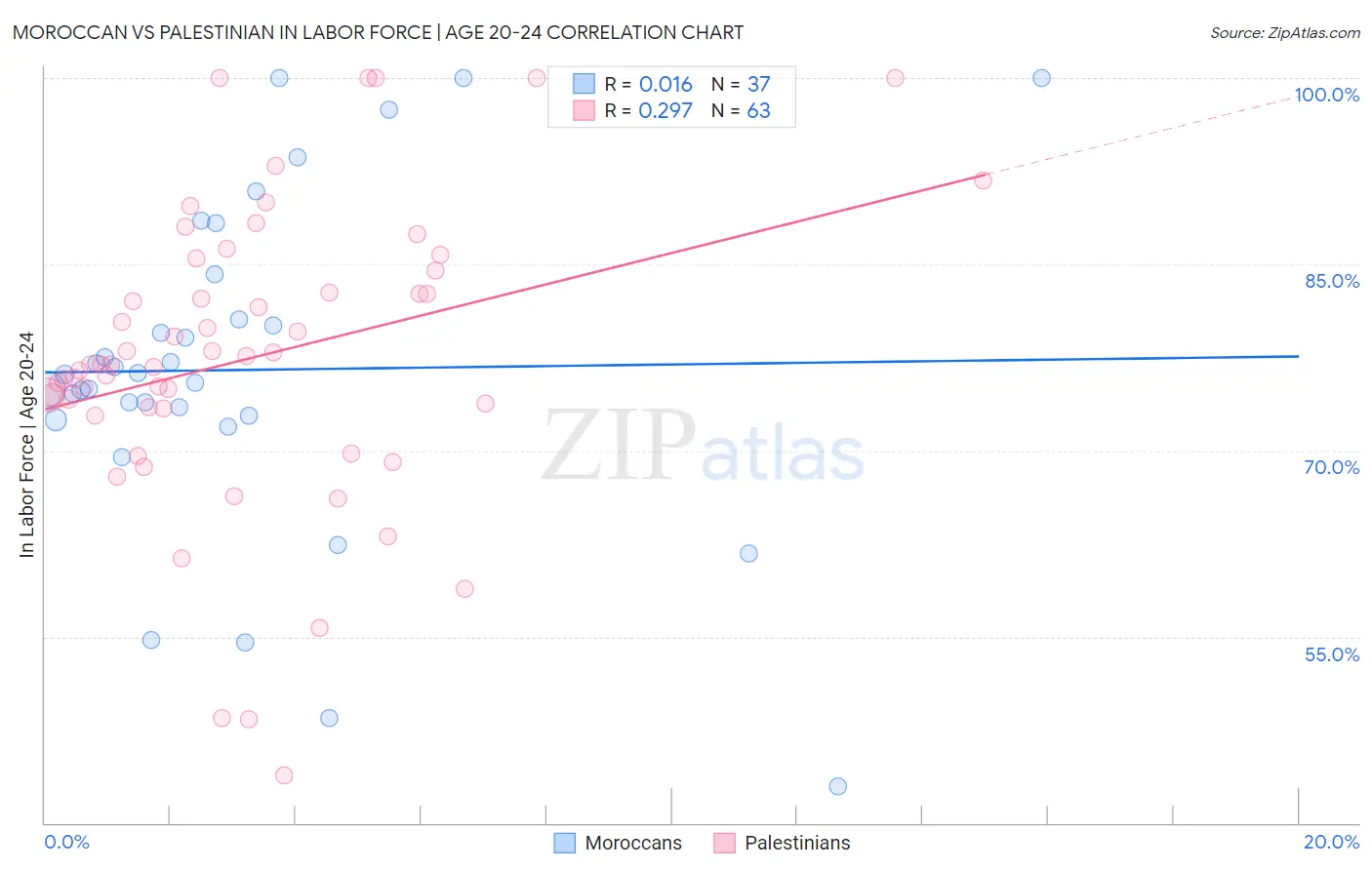 Moroccan vs Palestinian In Labor Force | Age 20-24