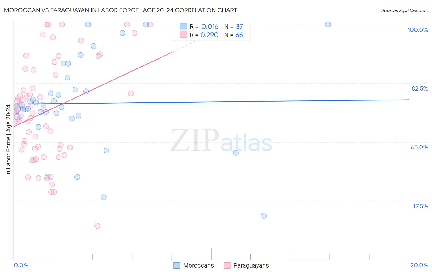 Moroccan vs Paraguayan In Labor Force | Age 20-24