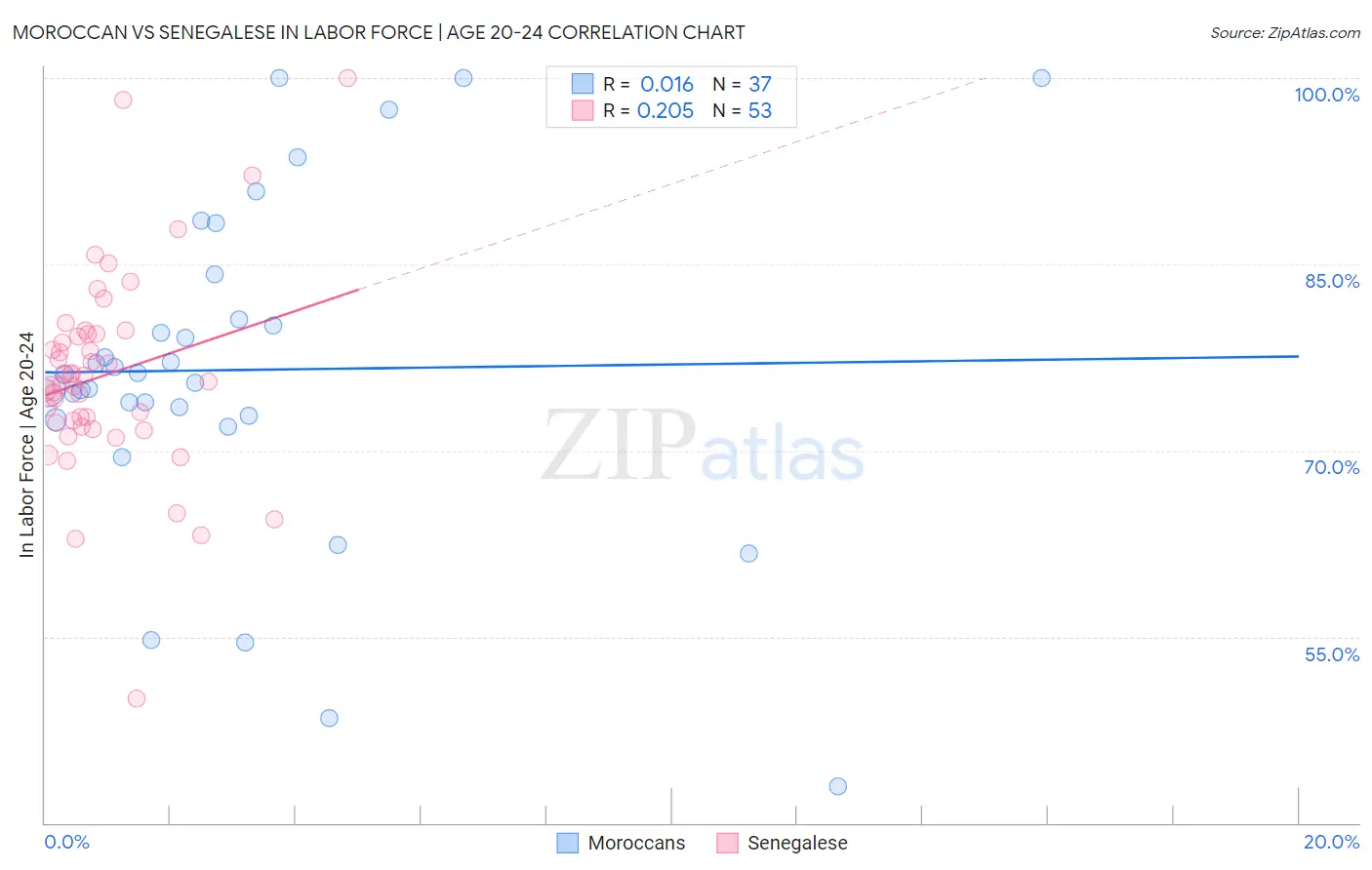 Moroccan vs Senegalese In Labor Force | Age 20-24