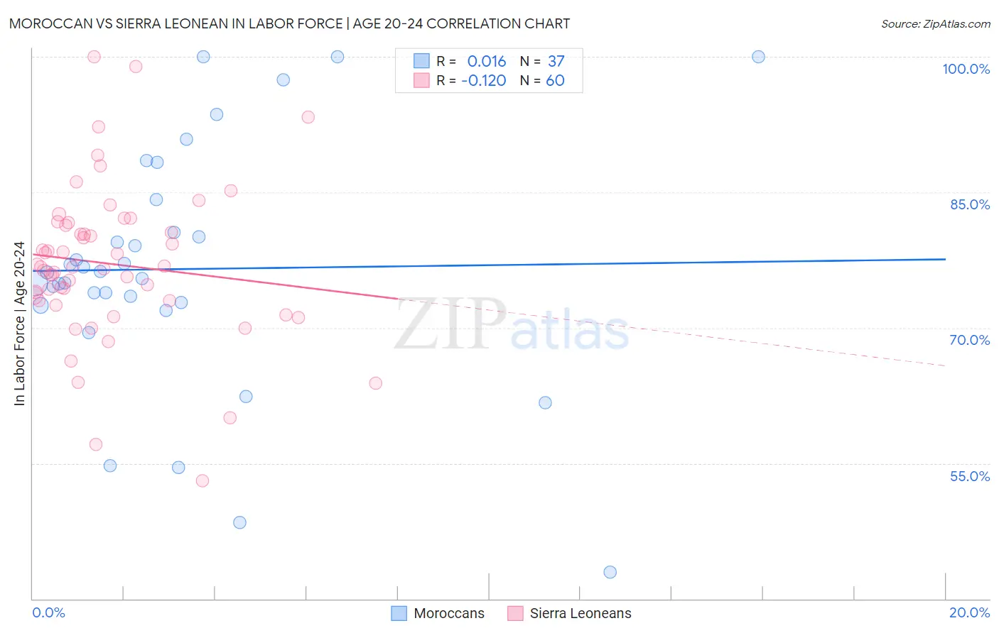 Moroccan vs Sierra Leonean In Labor Force | Age 20-24