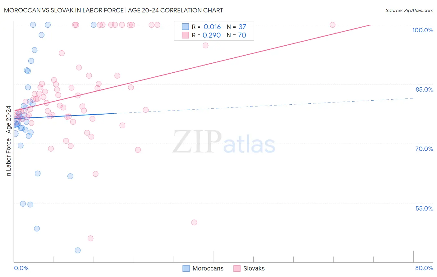 Moroccan vs Slovak In Labor Force | Age 20-24