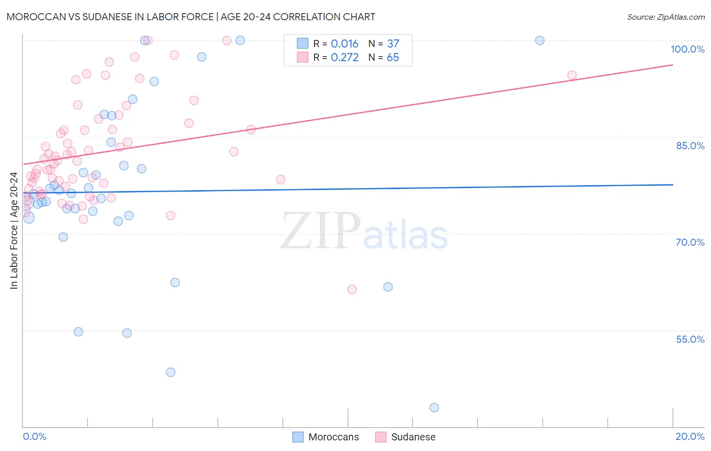 Moroccan vs Sudanese In Labor Force | Age 20-24