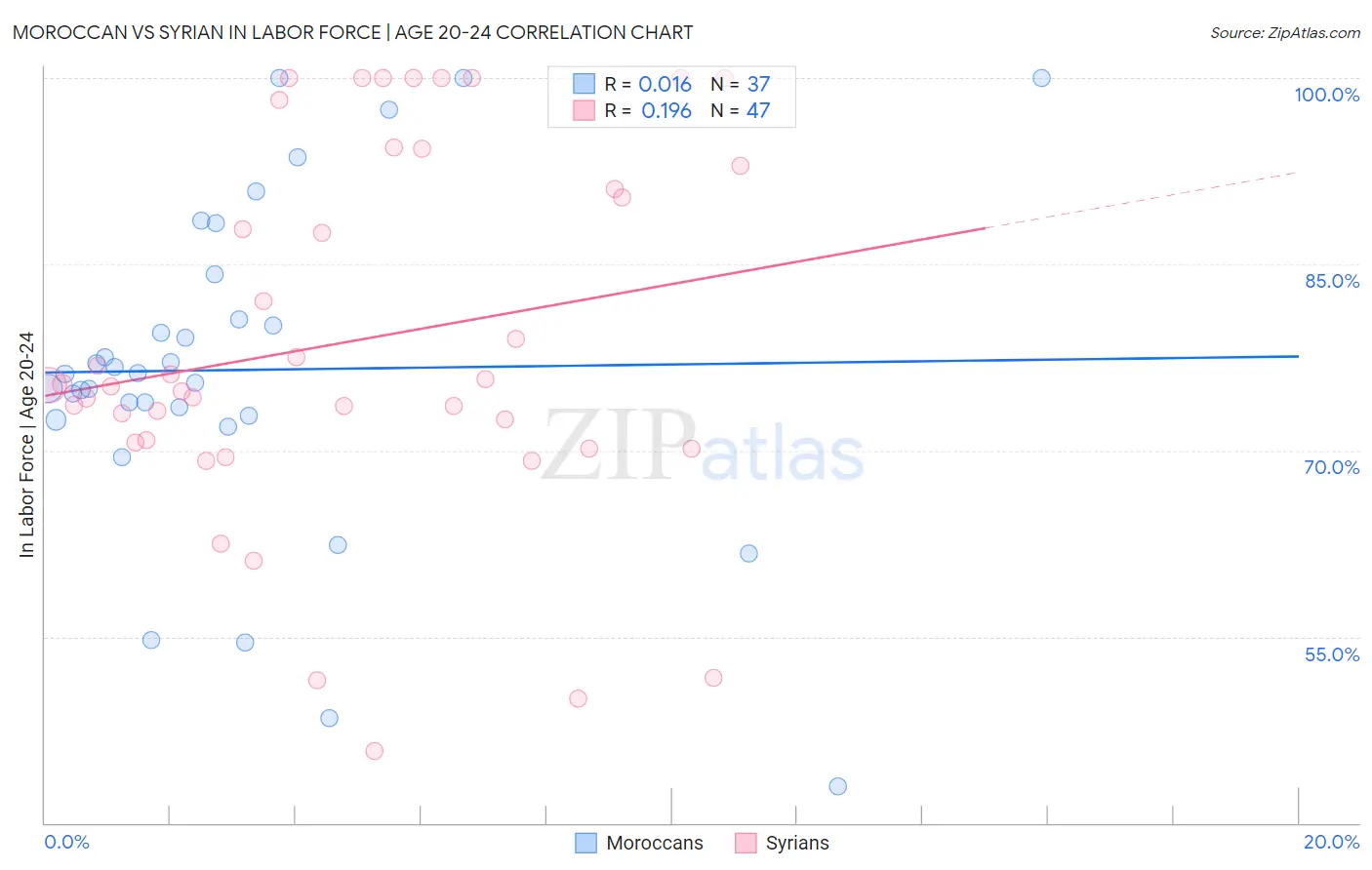 Moroccan vs Syrian In Labor Force | Age 20-24