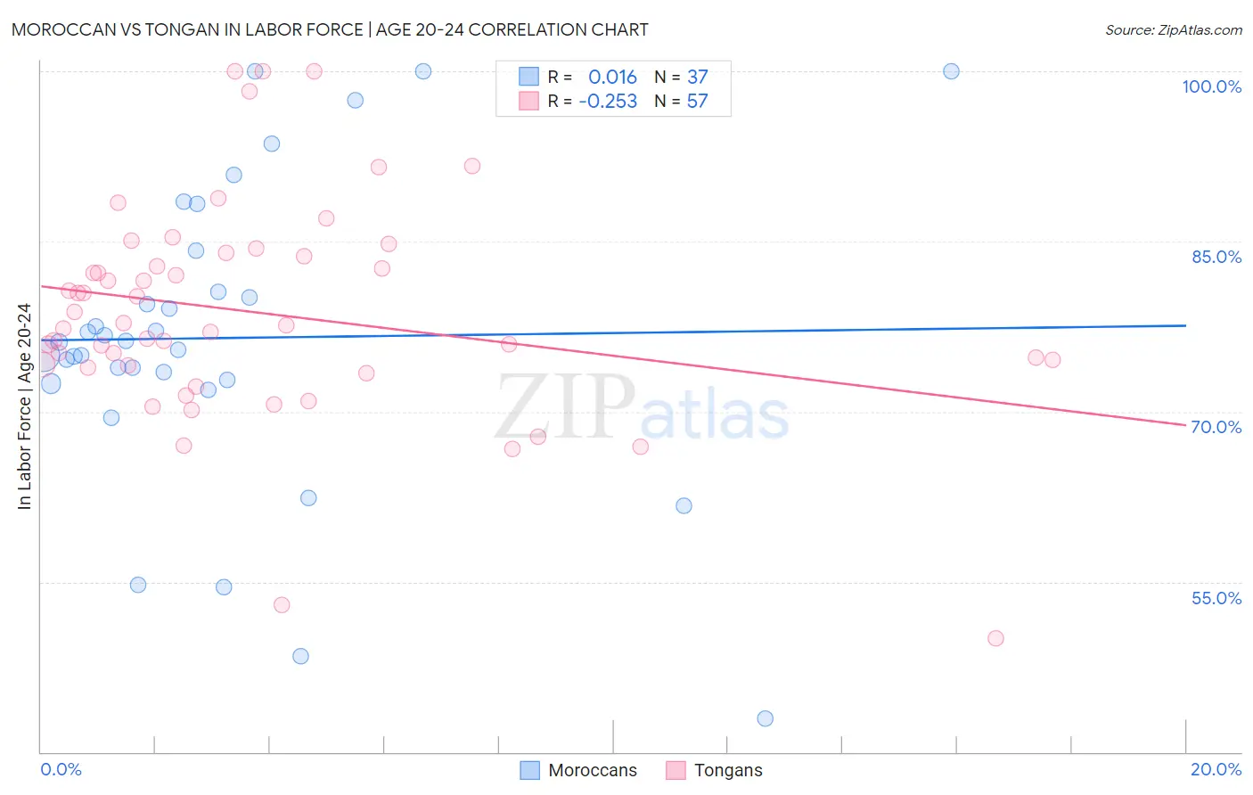 Moroccan vs Tongan In Labor Force | Age 20-24