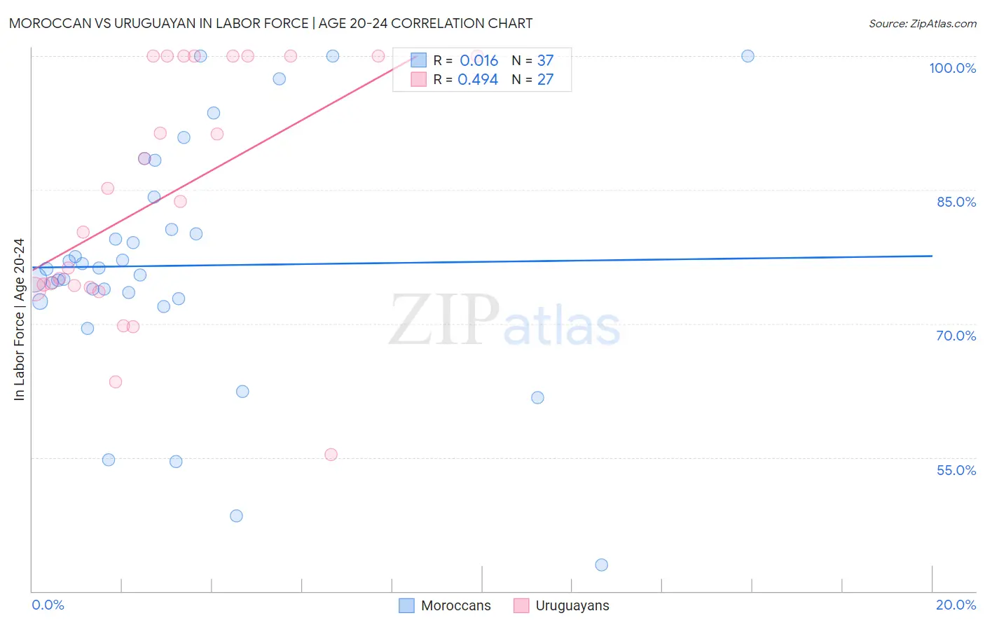 Moroccan vs Uruguayan In Labor Force | Age 20-24