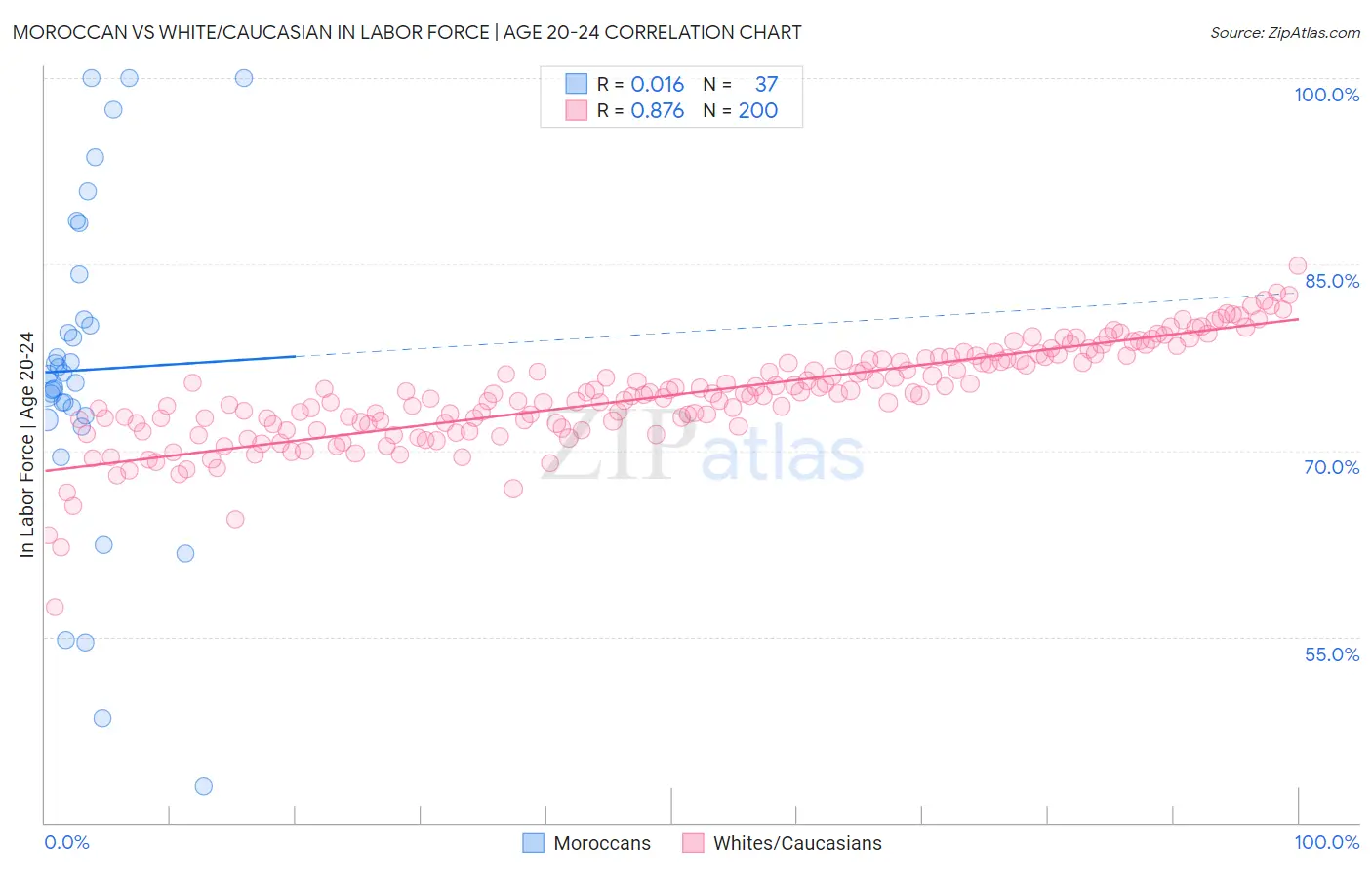Moroccan vs White/Caucasian In Labor Force | Age 20-24