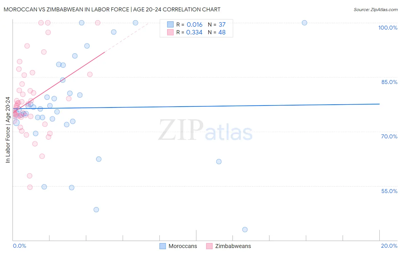 Moroccan vs Zimbabwean In Labor Force | Age 20-24