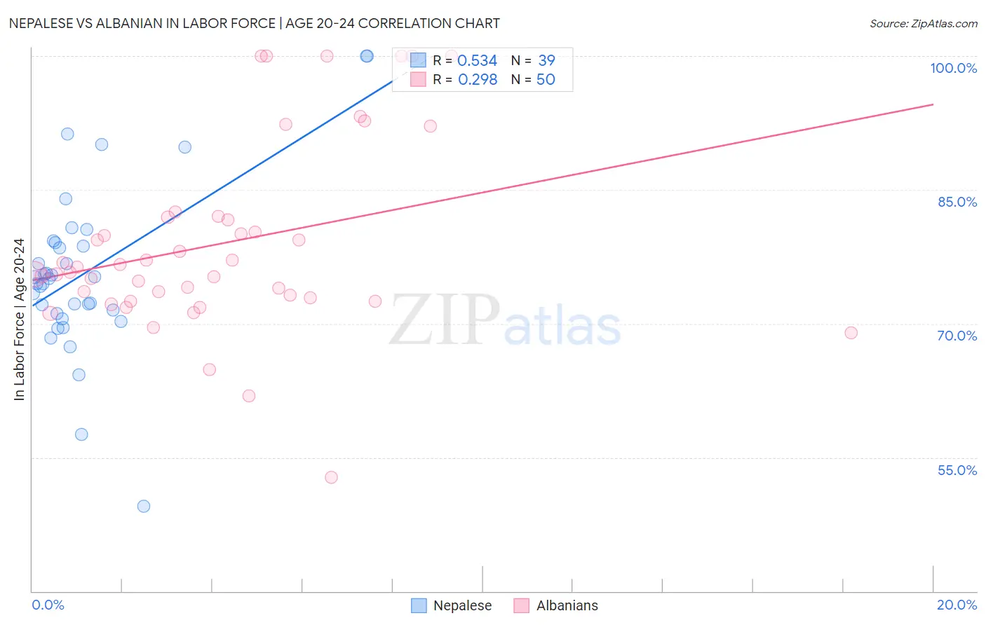 Nepalese vs Albanian In Labor Force | Age 20-24