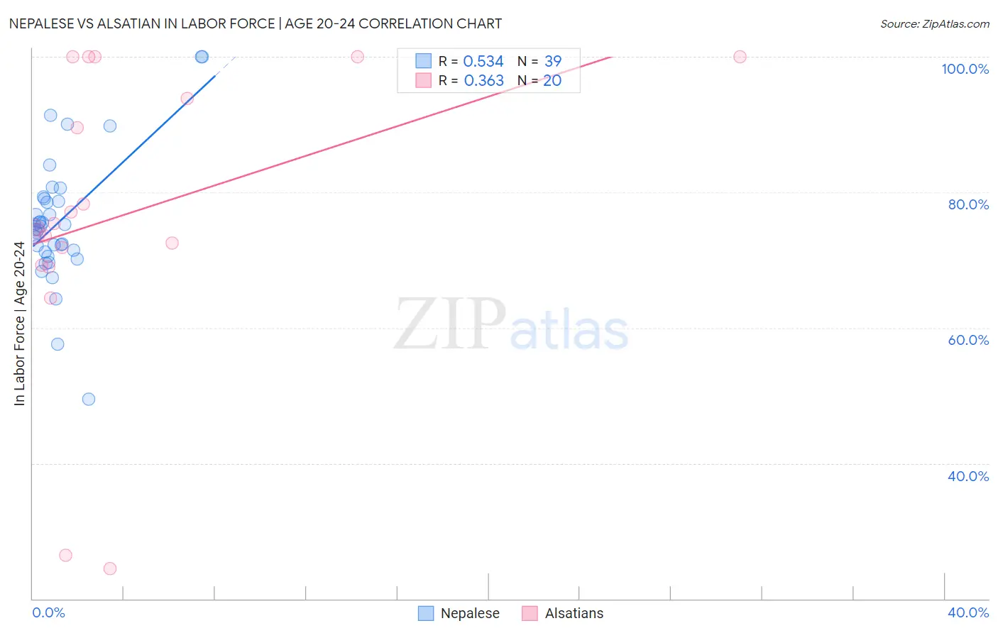 Nepalese vs Alsatian In Labor Force | Age 20-24
