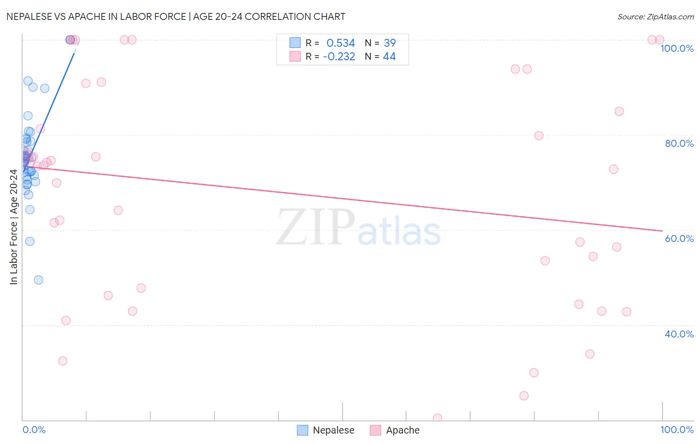 Nepalese vs Apache In Labor Force | Age 20-24
