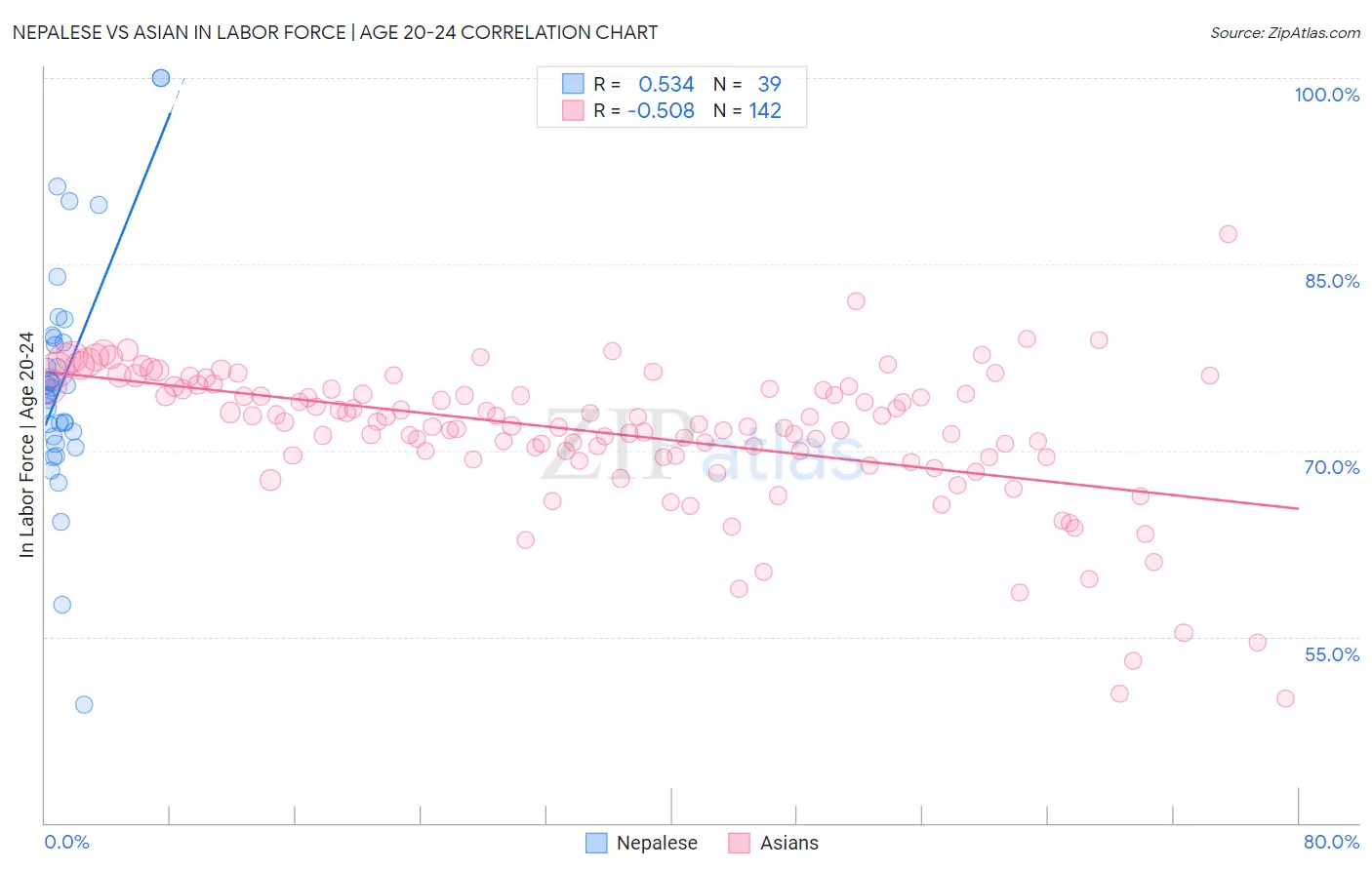 Nepalese vs Asian In Labor Force | Age 20-24