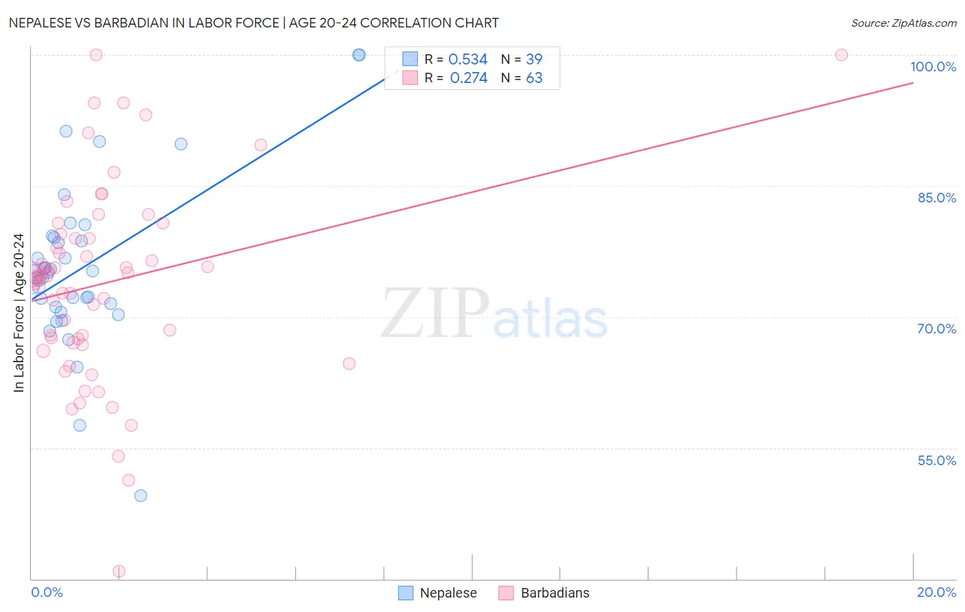 Nepalese vs Barbadian In Labor Force | Age 20-24