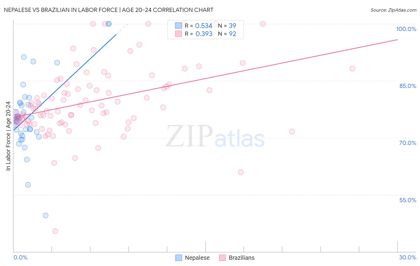 Nepalese vs Brazilian In Labor Force | Age 20-24