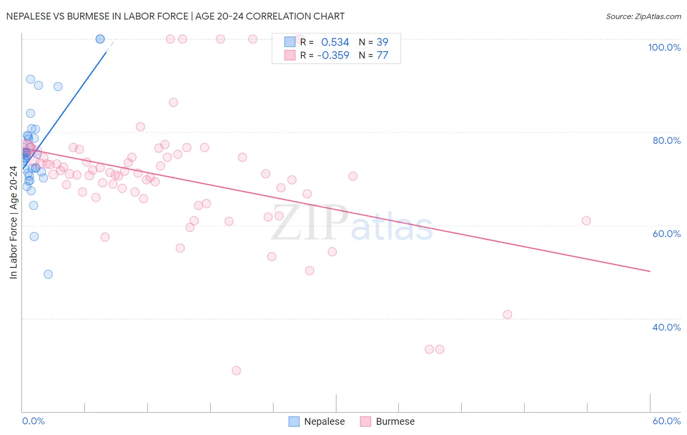 Nepalese vs Burmese In Labor Force | Age 20-24