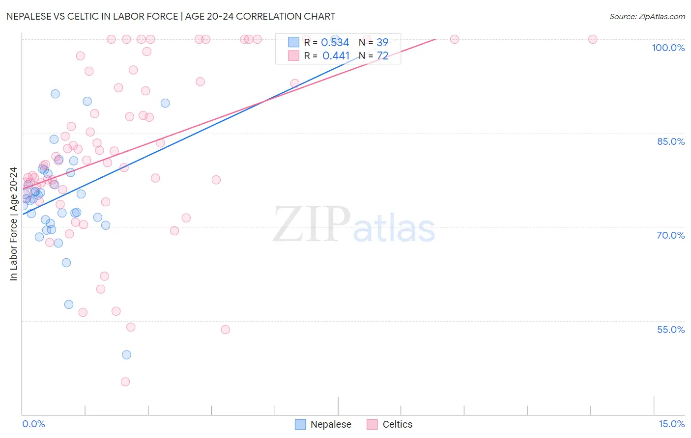 Nepalese vs Celtic In Labor Force | Age 20-24