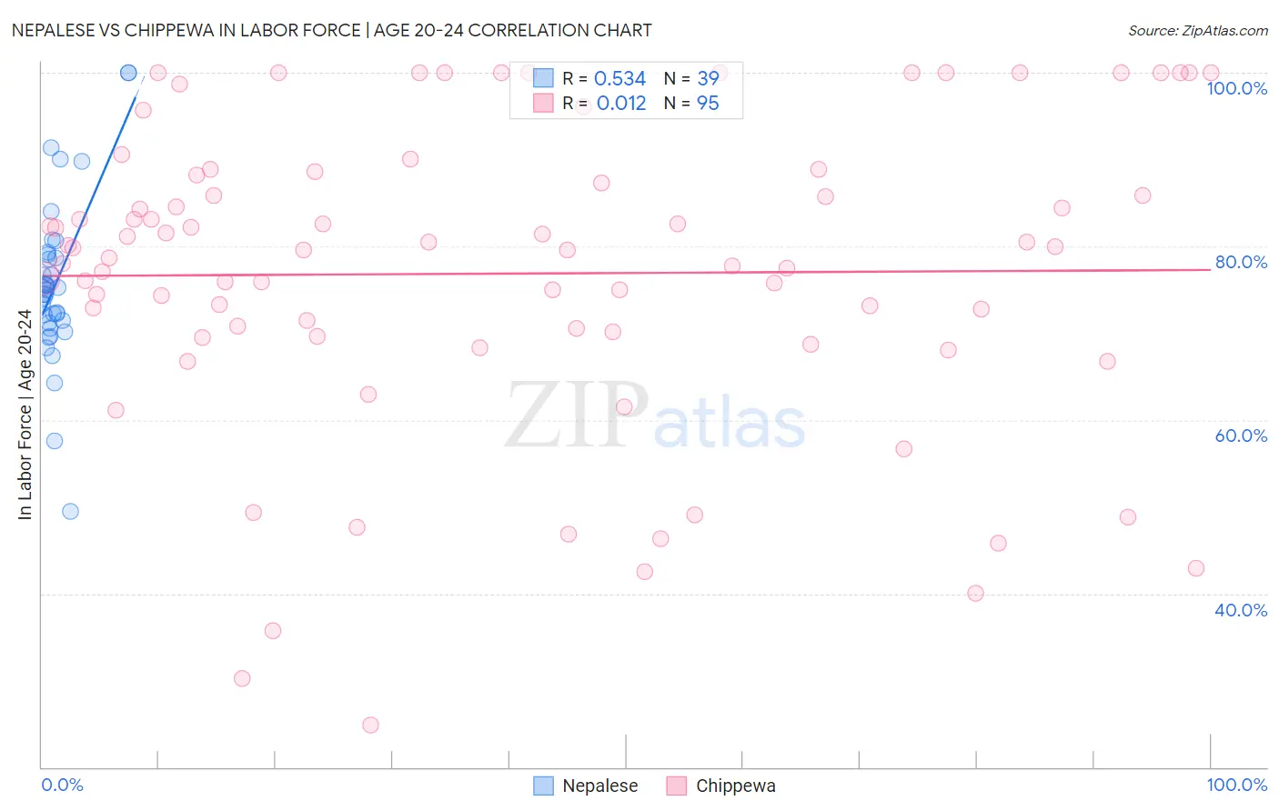 Nepalese vs Chippewa In Labor Force | Age 20-24