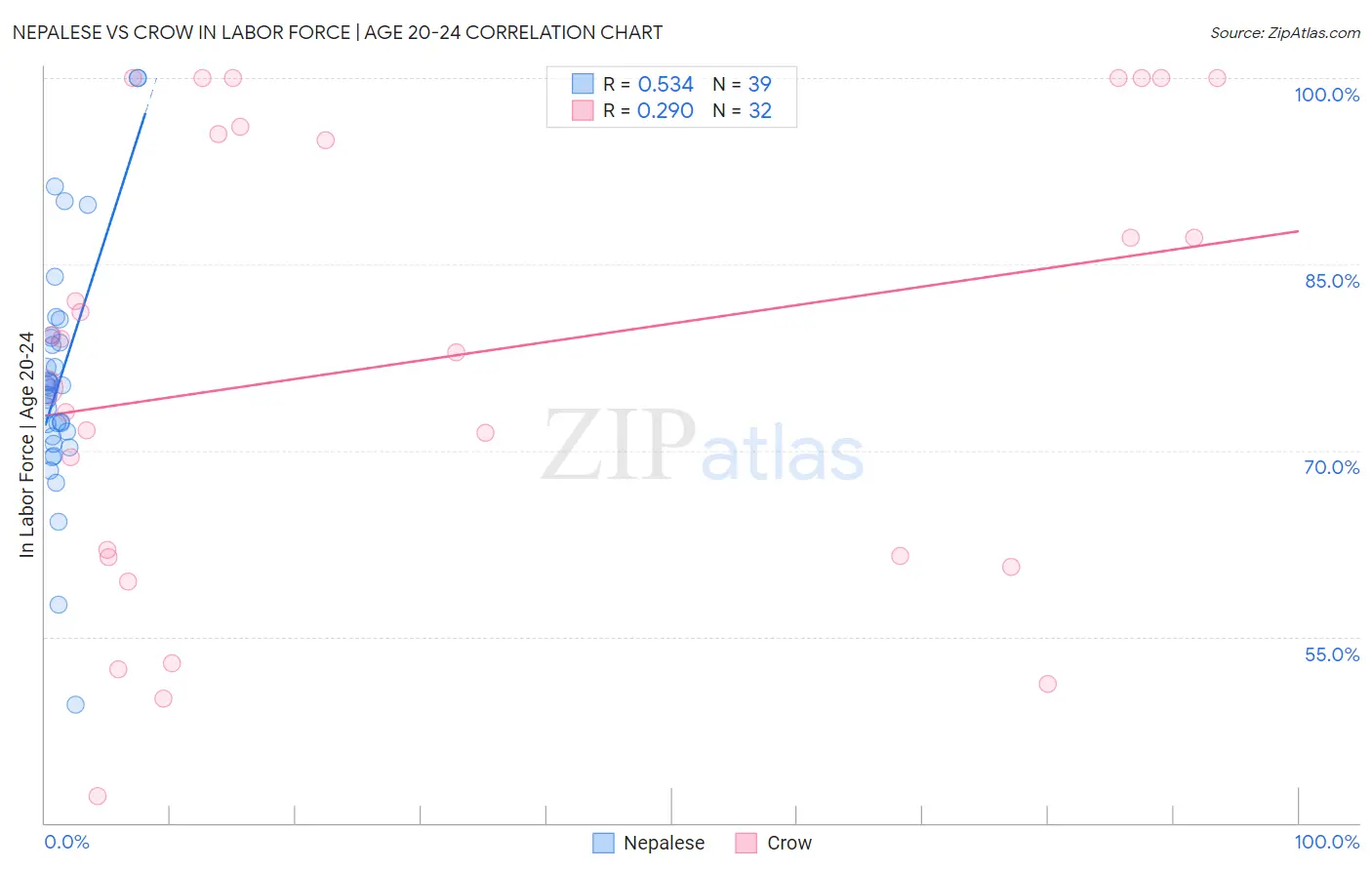 Nepalese vs Crow In Labor Force | Age 20-24
