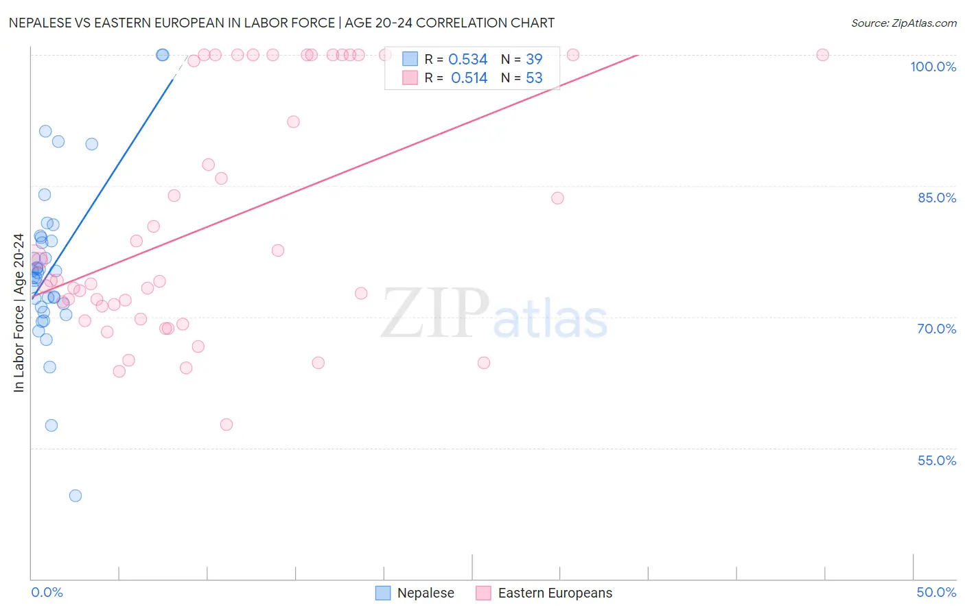 Nepalese vs Eastern European In Labor Force | Age 20-24