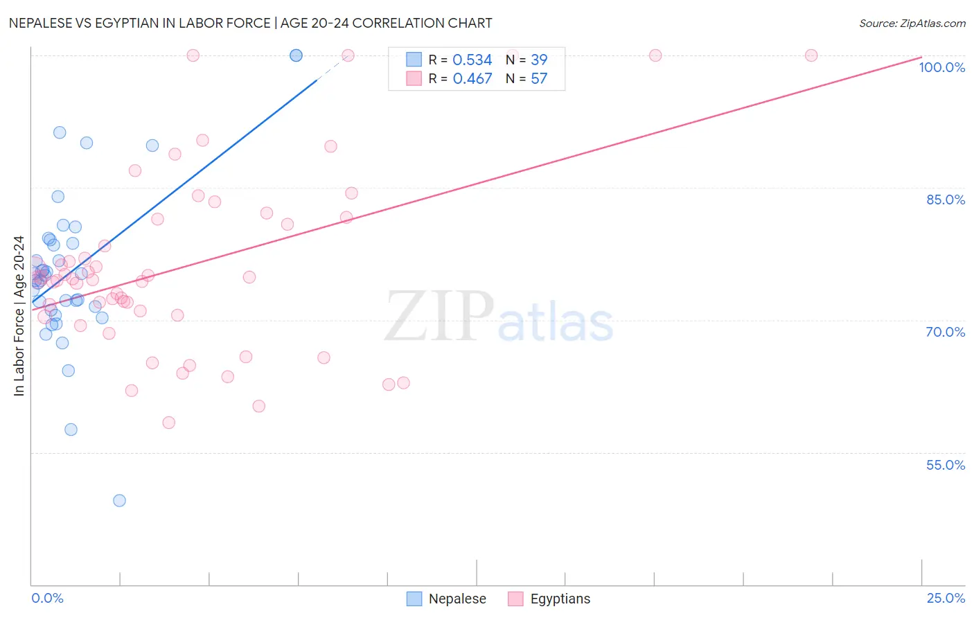 Nepalese vs Egyptian In Labor Force | Age 20-24