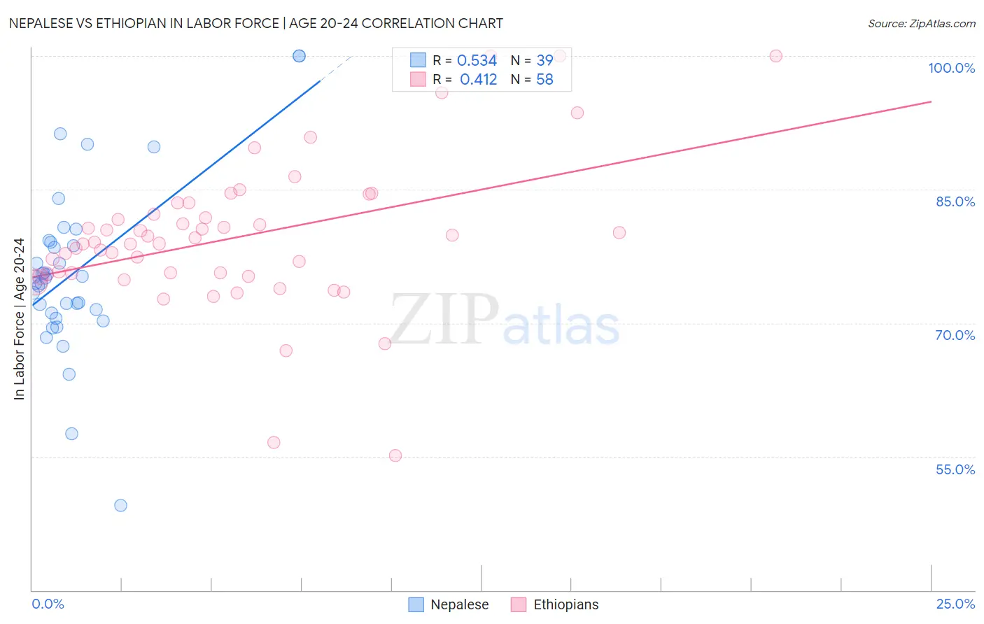 Nepalese vs Ethiopian In Labor Force | Age 20-24
