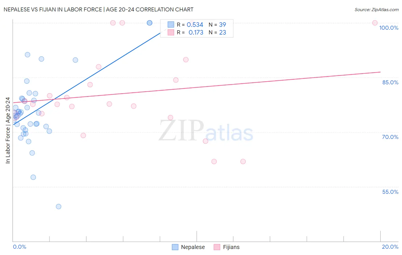 Nepalese vs Fijian In Labor Force | Age 20-24