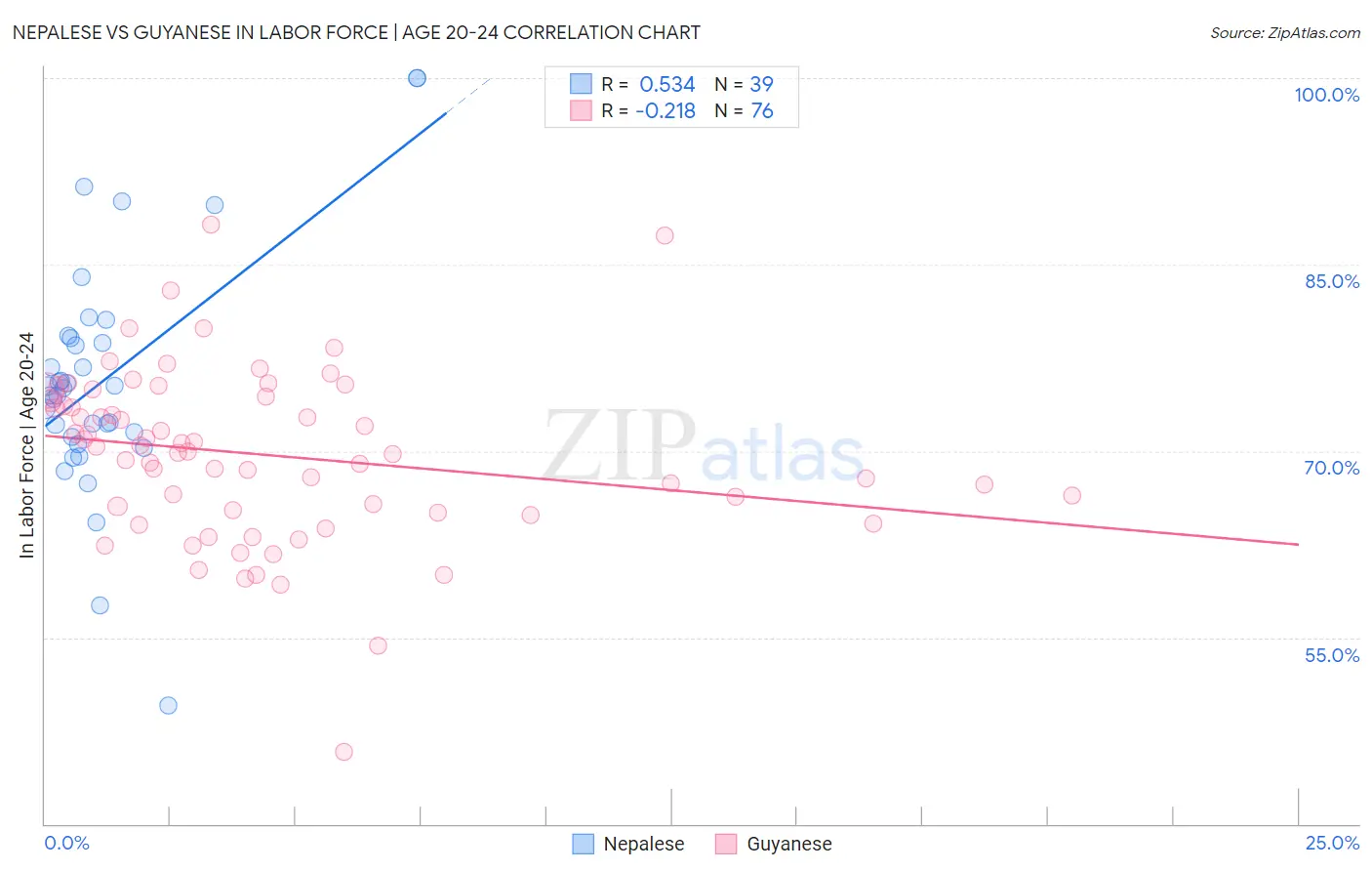 Nepalese vs Guyanese In Labor Force | Age 20-24