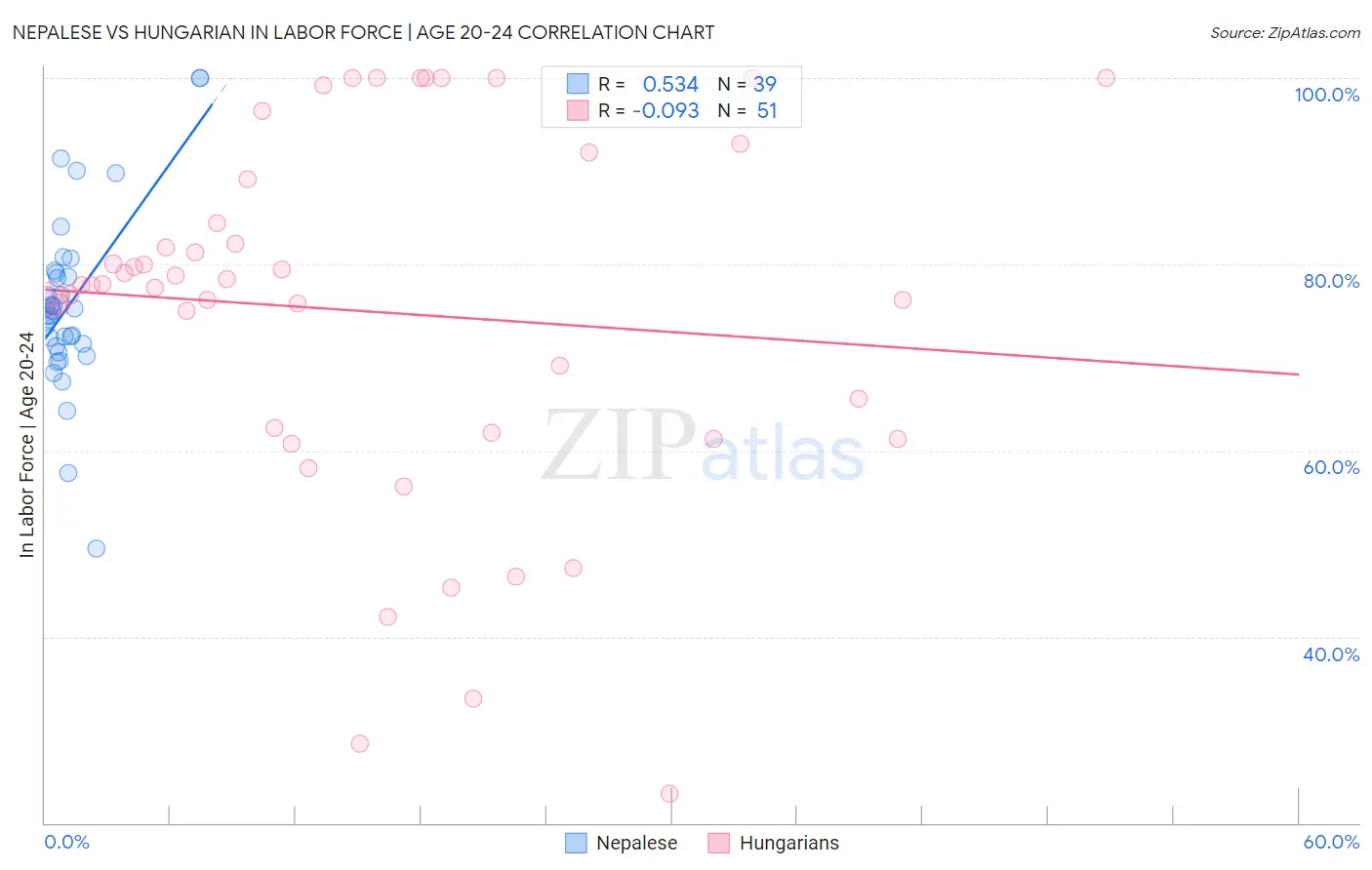 Nepalese vs Hungarian In Labor Force | Age 20-24