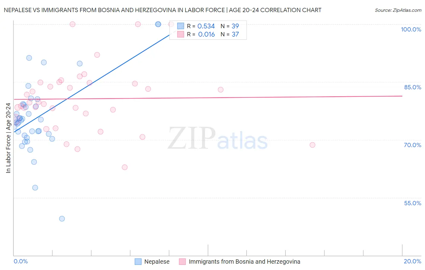 Nepalese vs Immigrants from Bosnia and Herzegovina In Labor Force | Age 20-24