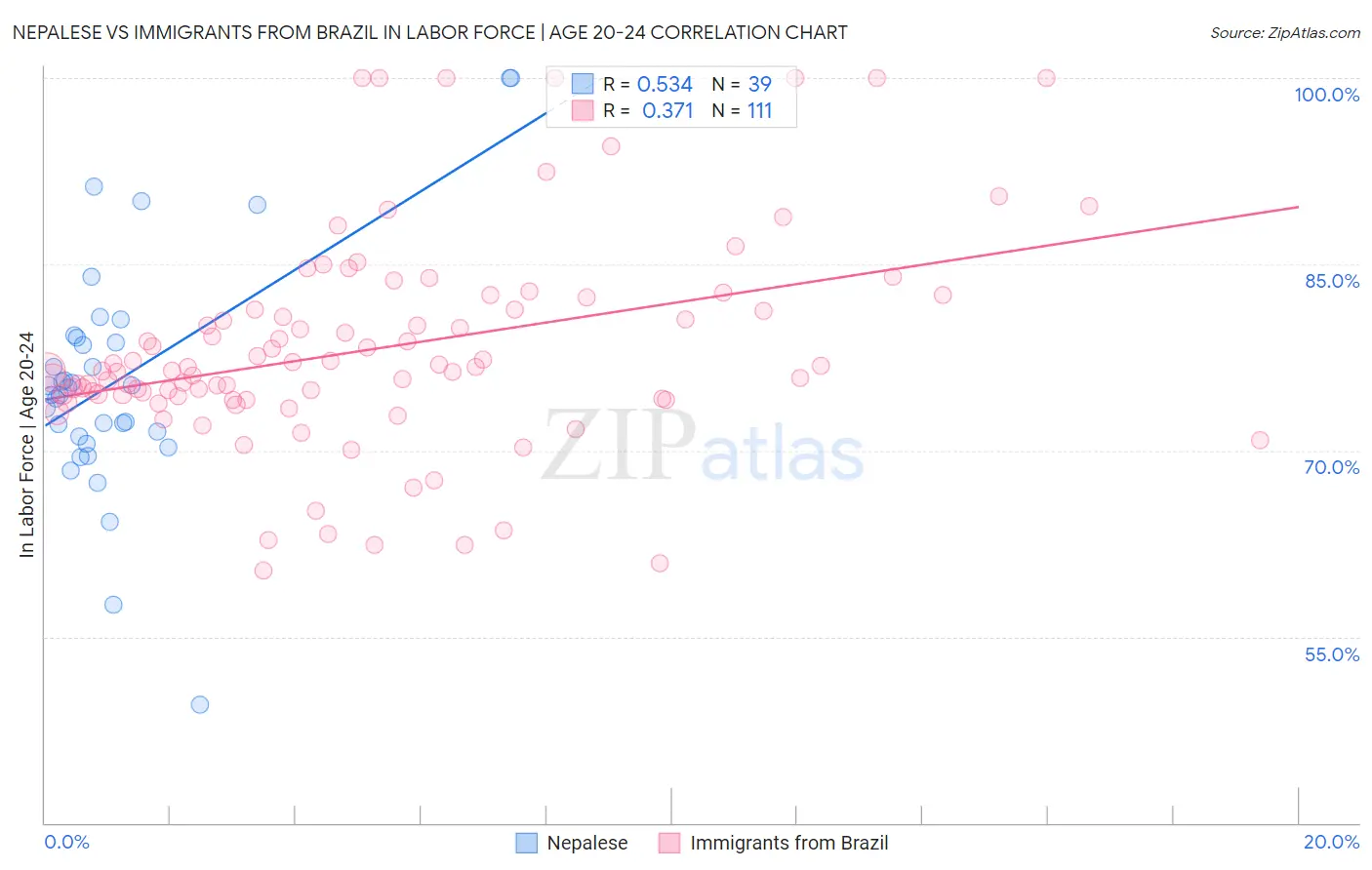 Nepalese vs Immigrants from Brazil In Labor Force | Age 20-24