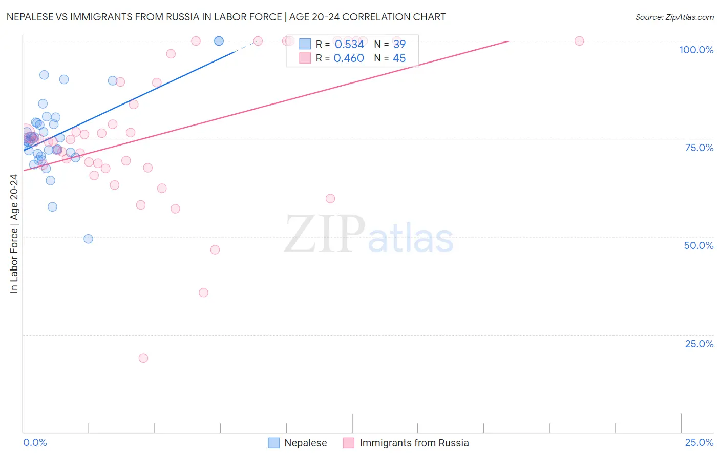 Nepalese vs Immigrants from Russia In Labor Force | Age 20-24