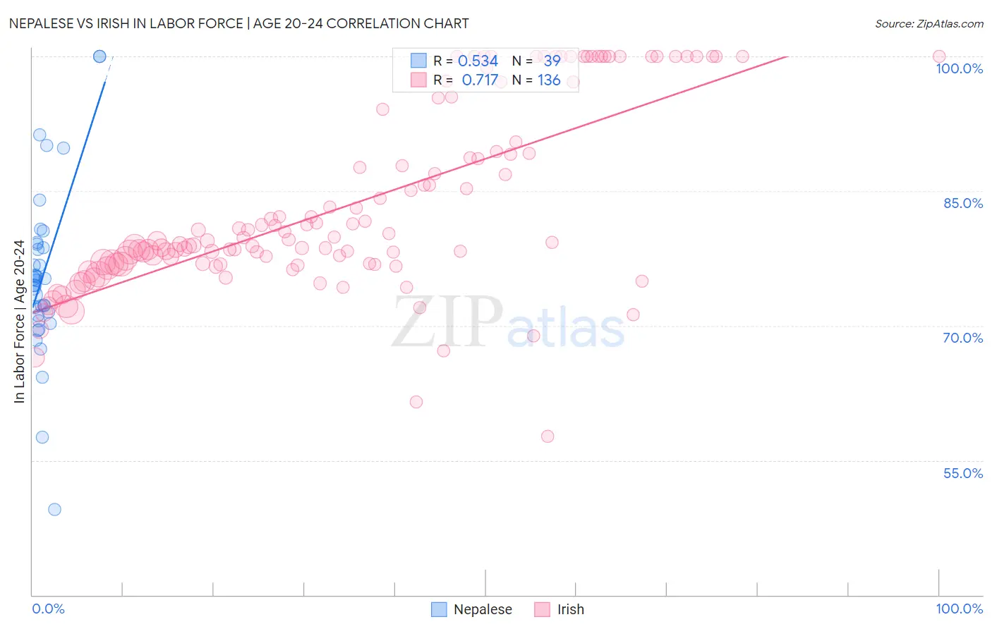 Nepalese vs Irish In Labor Force | Age 20-24