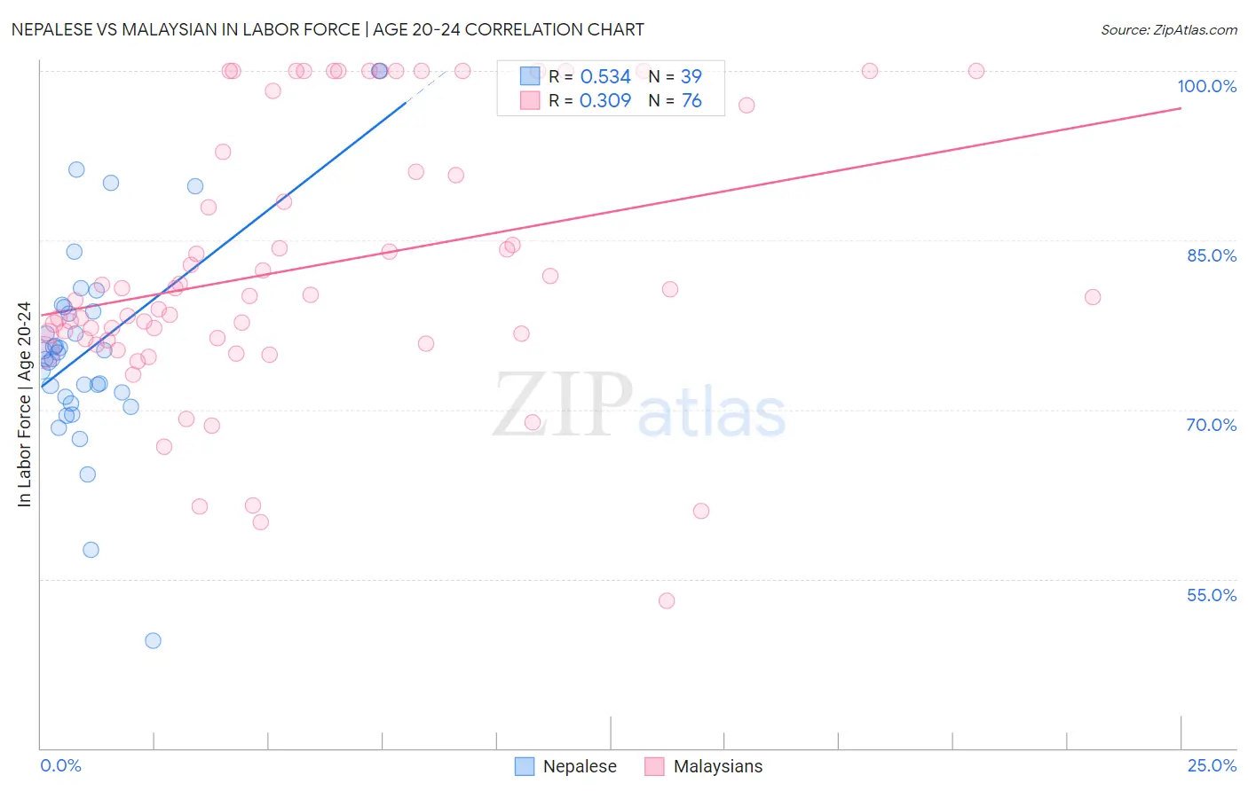 Nepalese vs Malaysian In Labor Force | Age 20-24