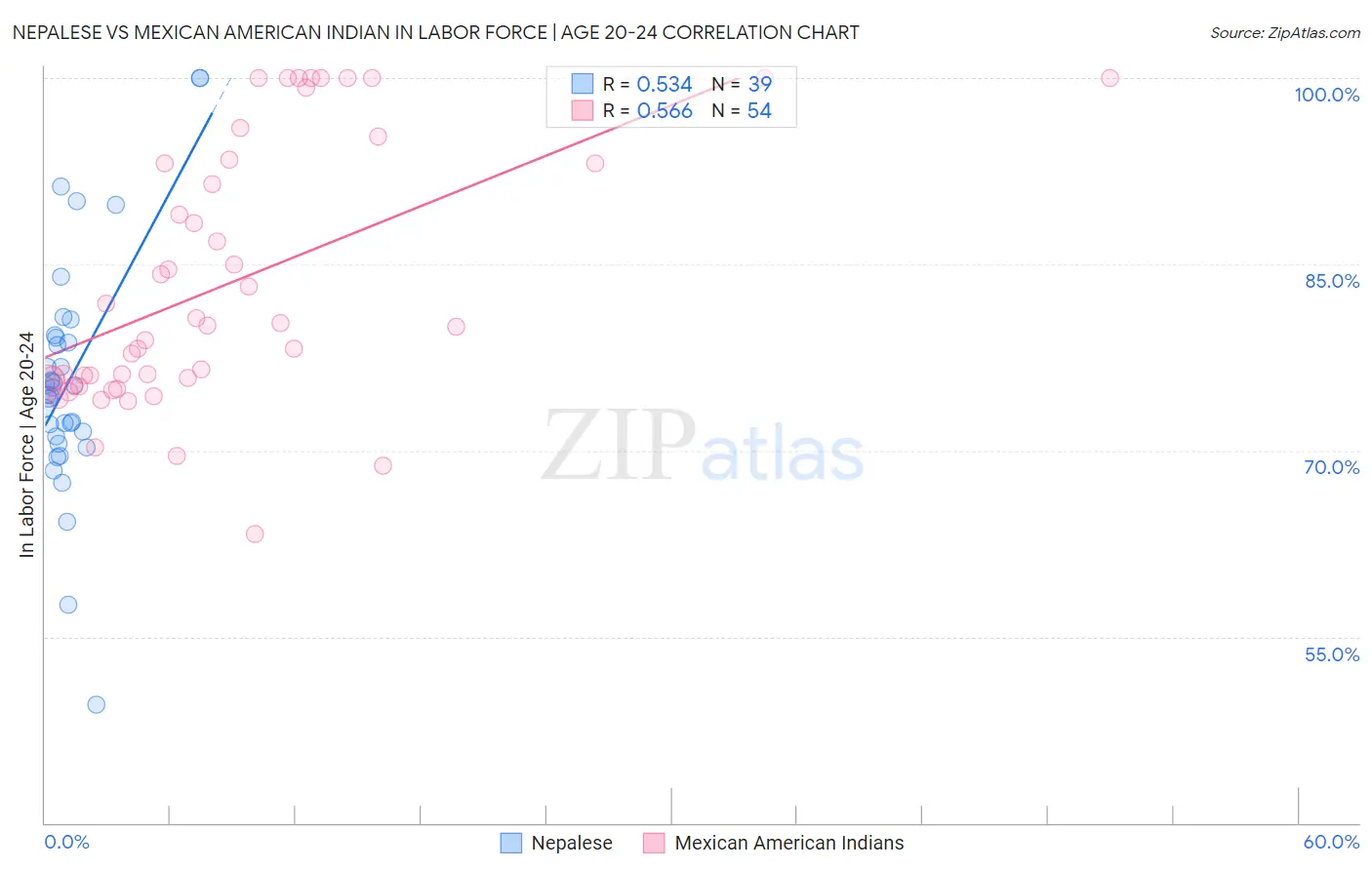 Nepalese vs Mexican American Indian In Labor Force | Age 20-24