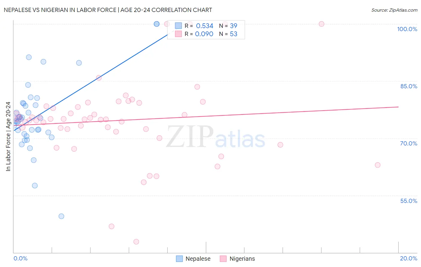 Nepalese vs Nigerian In Labor Force | Age 20-24