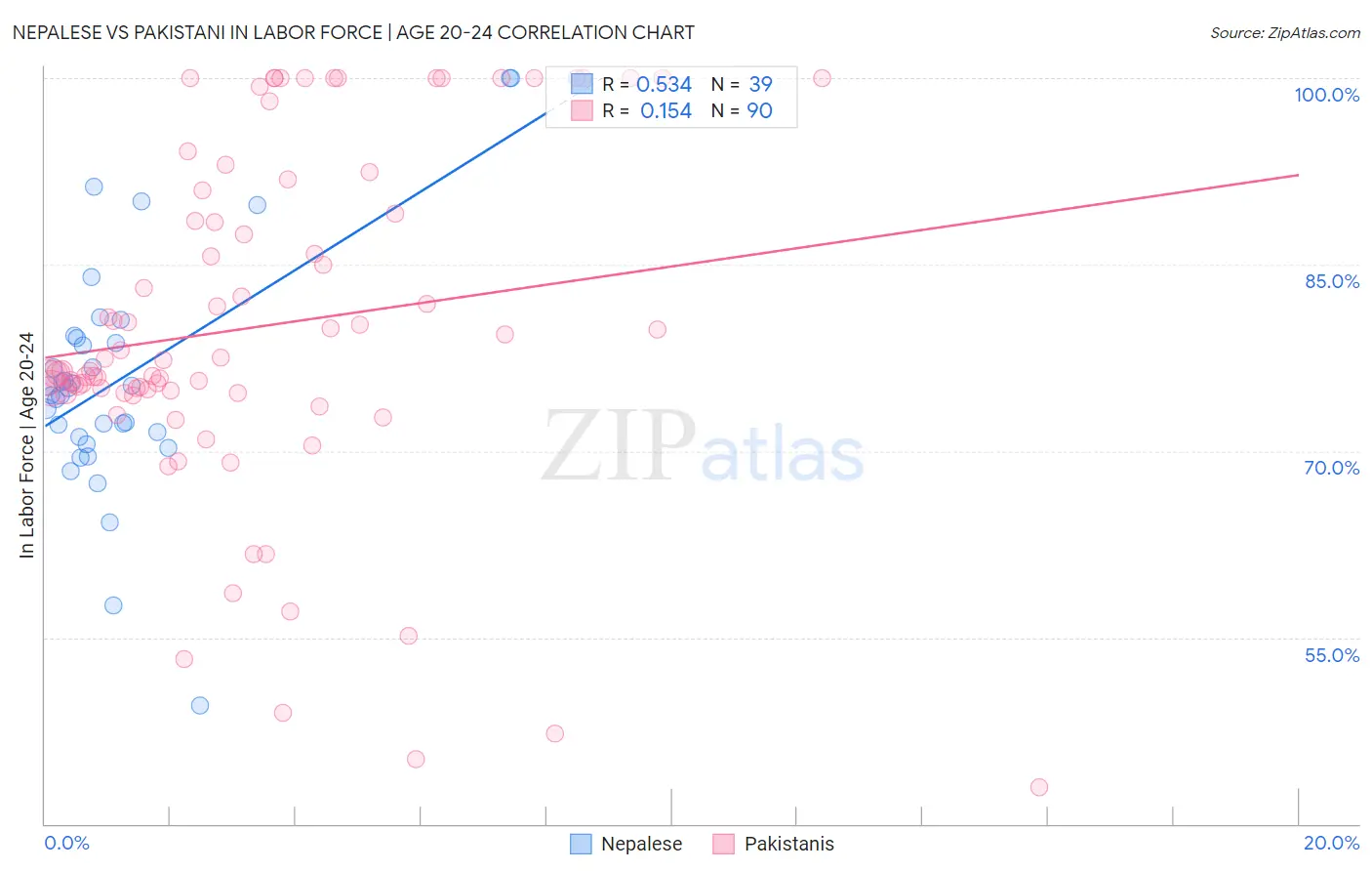 Nepalese vs Pakistani In Labor Force | Age 20-24
