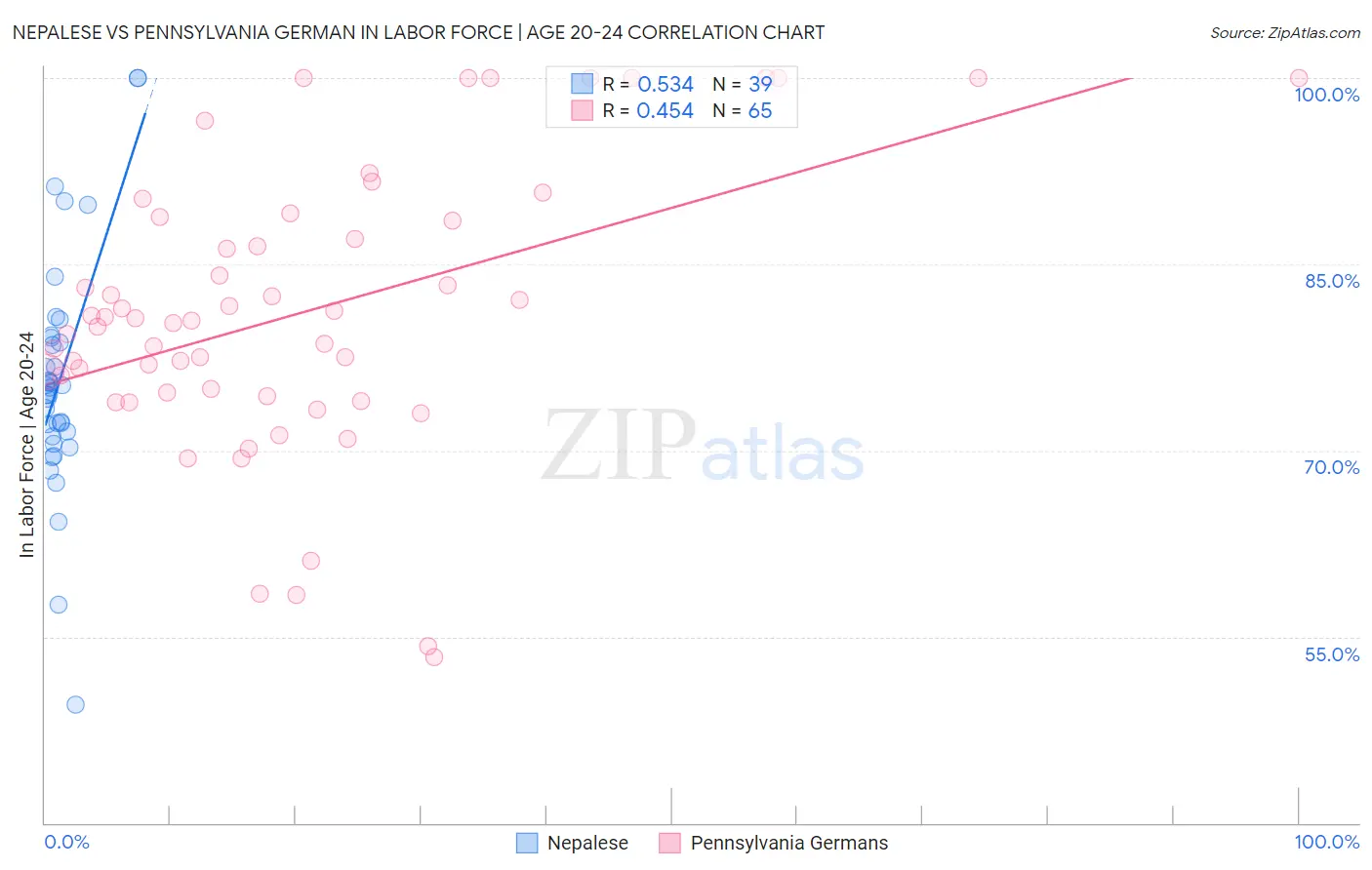 Nepalese vs Pennsylvania German In Labor Force | Age 20-24