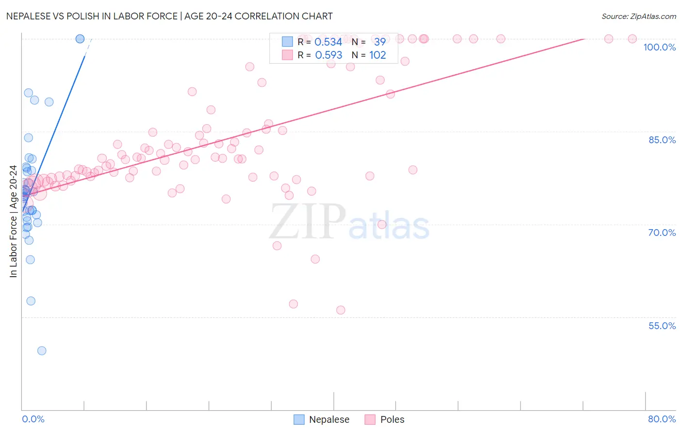 Nepalese vs Polish In Labor Force | Age 20-24