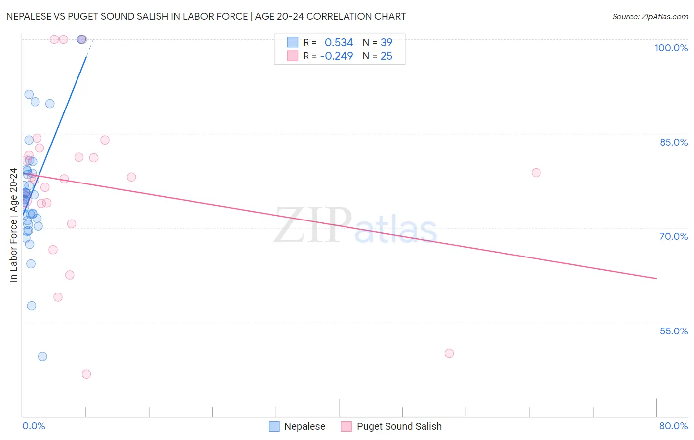 Nepalese vs Puget Sound Salish In Labor Force | Age 20-24