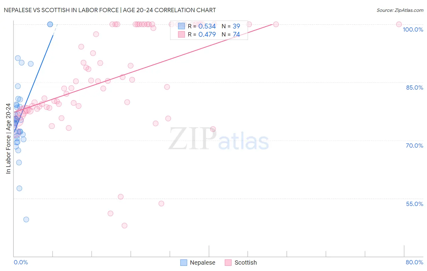 Nepalese vs Scottish In Labor Force | Age 20-24