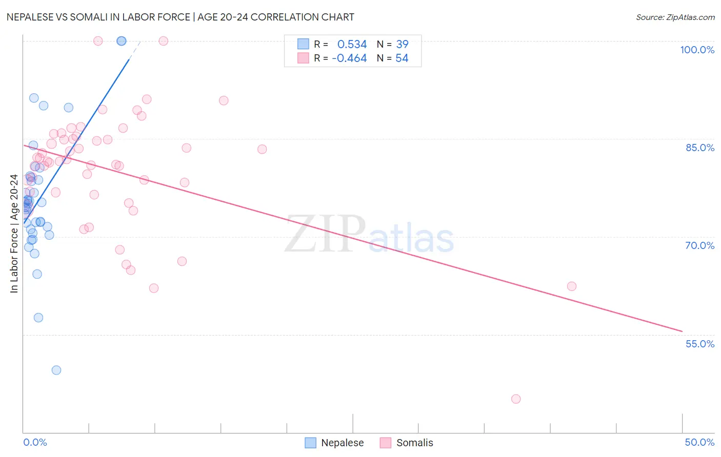 Nepalese vs Somali In Labor Force | Age 20-24