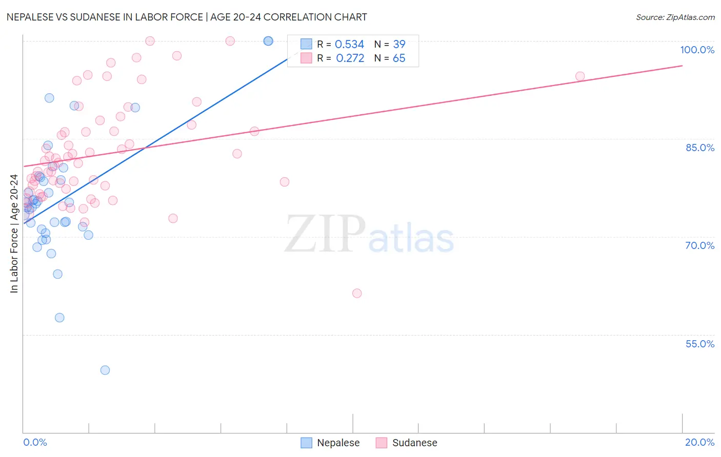 Nepalese vs Sudanese In Labor Force | Age 20-24