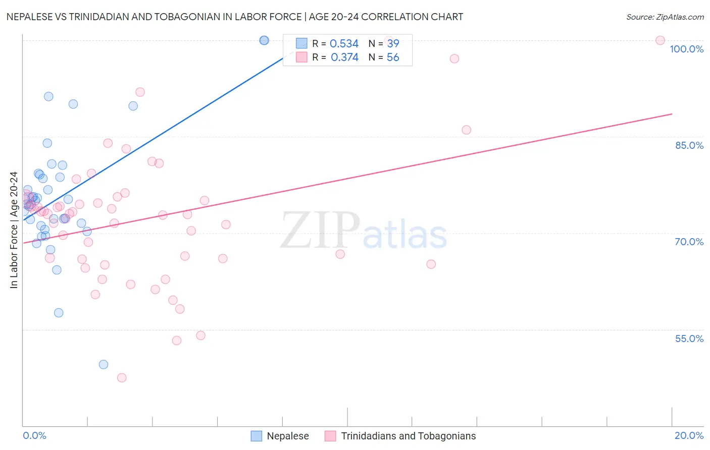 Nepalese vs Trinidadian and Tobagonian In Labor Force | Age 20-24